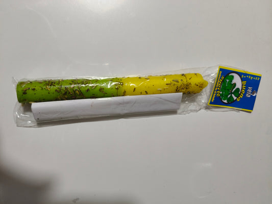 Ritual de la Buena Suerte