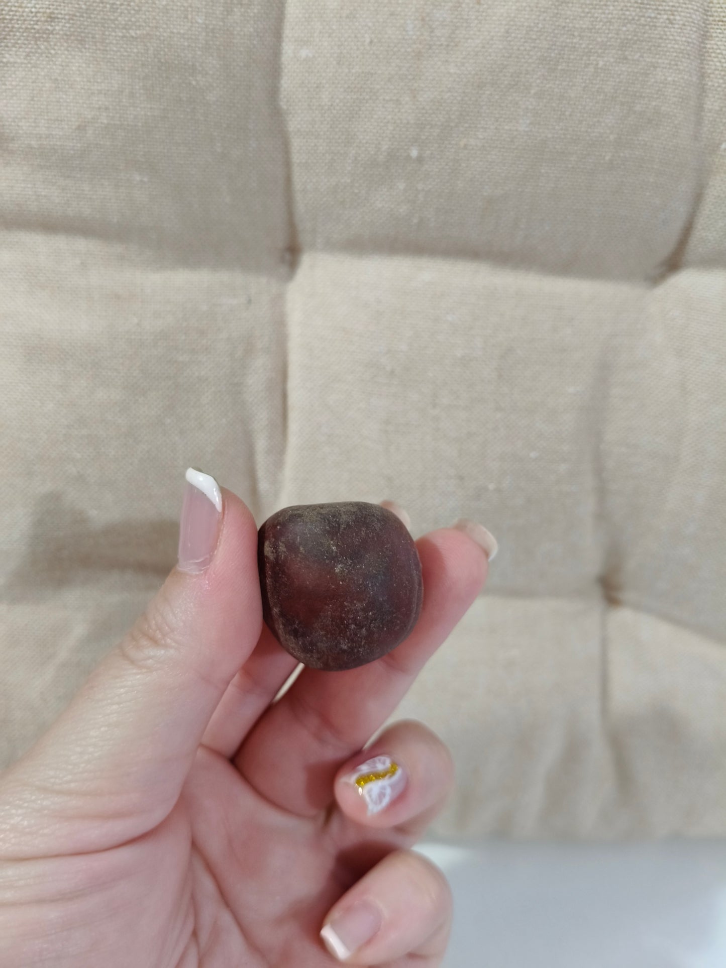 Semilla de Ojo de Buey