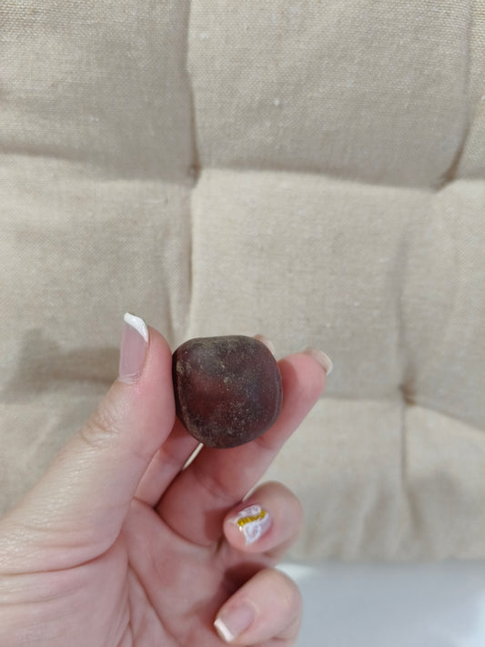 Semilla de Ojo de Buey