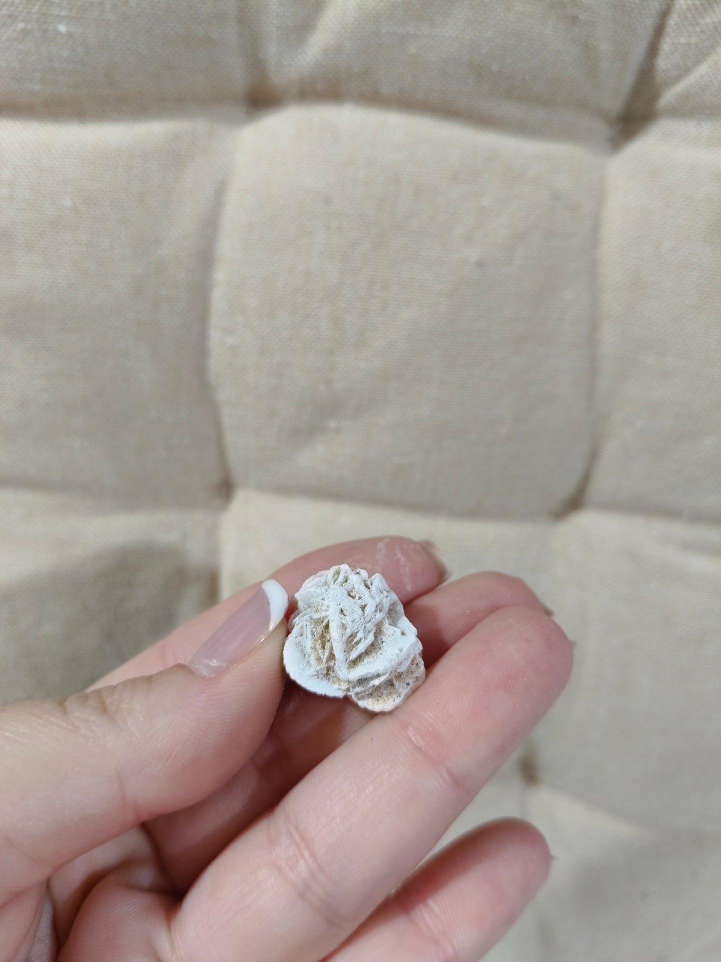 Rosa de Selenita
