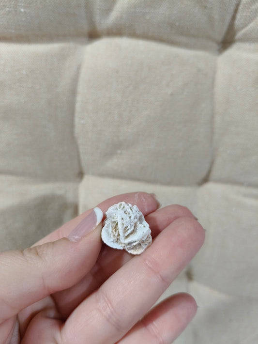 Rosa de Selenita