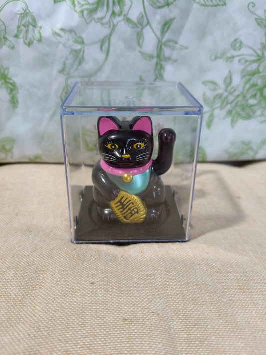 Gato abundancia 01140