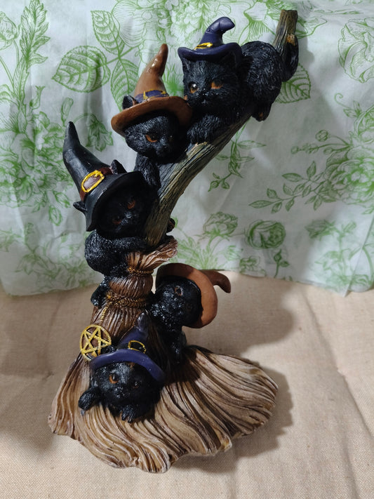 Gatos escoba brujil 01225