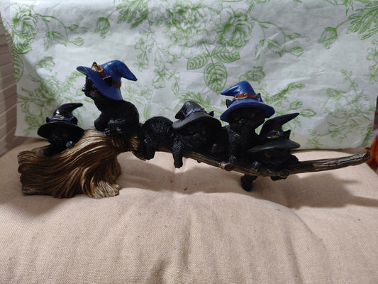 Gatos escoba tumbados 01226