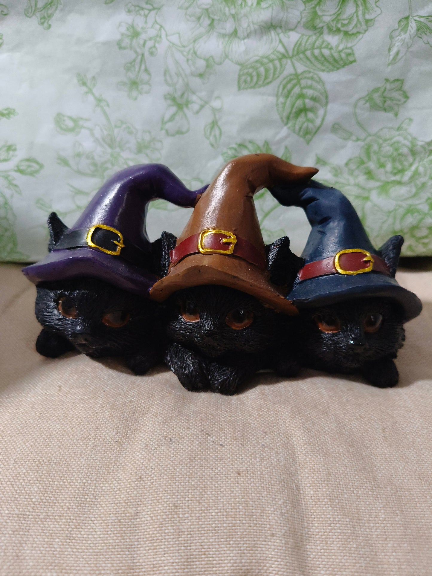 Trio gatos negros 01227